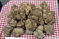 VBS_6955 - Fiera dei Santi - 12.ma Fiera Nazionale del Tartufo
